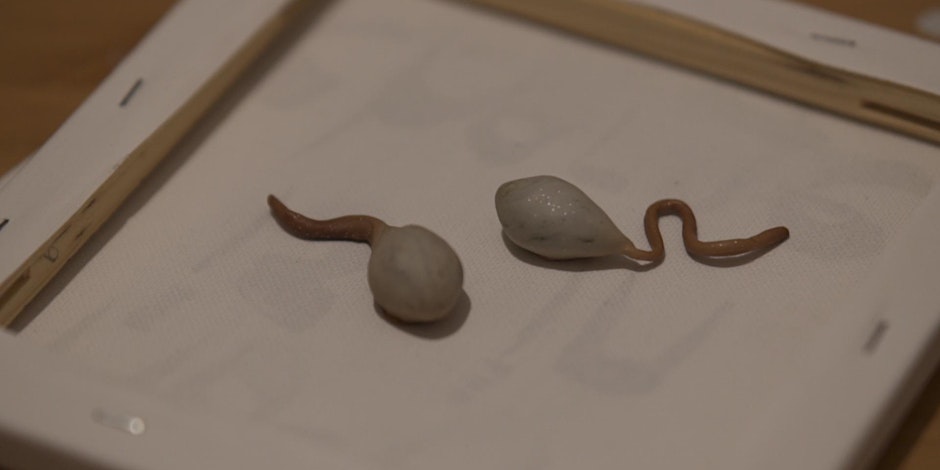 Parenthood of the Southside, Many Rivers + artists’&nbsp;shorts